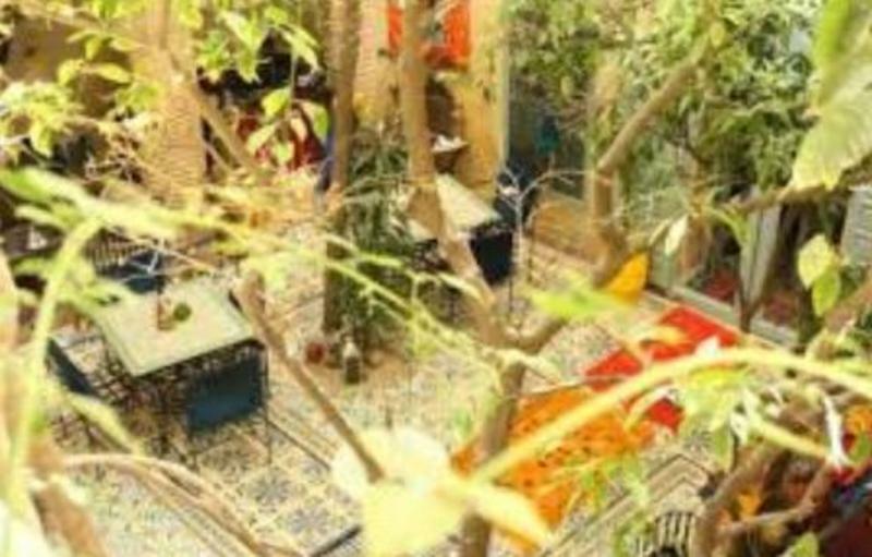 Riad Les Jardins De Kesali مراكش المظهر الخارجي الصورة